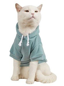 Cadet Blue Pet Hoodie for Dogs and Cats