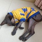 Cute Sphynx Cat Summer T-Shirt for Pets