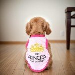 Cute Summer Dog T-Shirts - 4 Pack Design