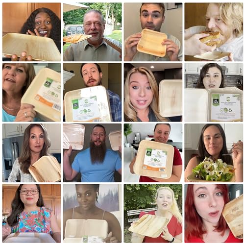 Raj Palm Leaf Plates - 500-Pack for Weddings