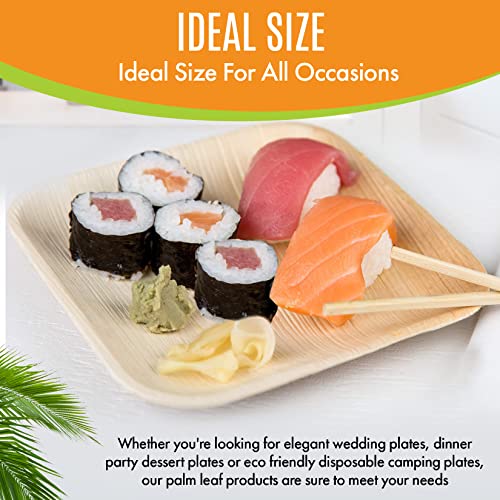 Raj Palm Leaf Plates - 500-Pack for Weddings