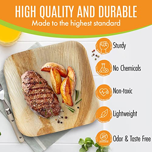 Raj Palm Leaf Plates - 500-Pack for Weddings