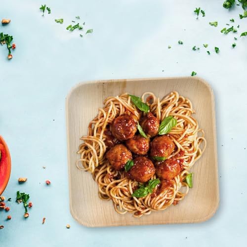 Raj Palm Leaf Plates - 500-Pack for Weddings