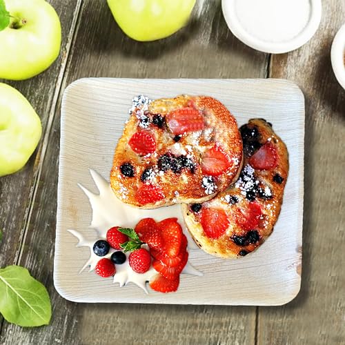 Raj Palm Leaf Plates - 500-Pack for Weddings