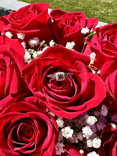 LE VIAN 1/2 Carat White/Chocolate Diamond Cushion Halo