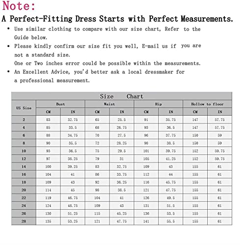 Black Puffy Sleeve Ball Gown Wedding Dress Women