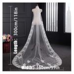 Long Lace Cathedral Veil with Comb for Bride