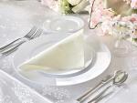 Extra Heavyweight Disposable Wedding Party Plates Set