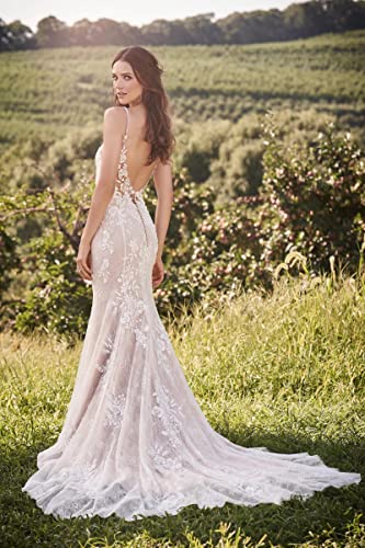 Dexinyuan Lace Mermaid Bridal Gown 2024 V-Neck