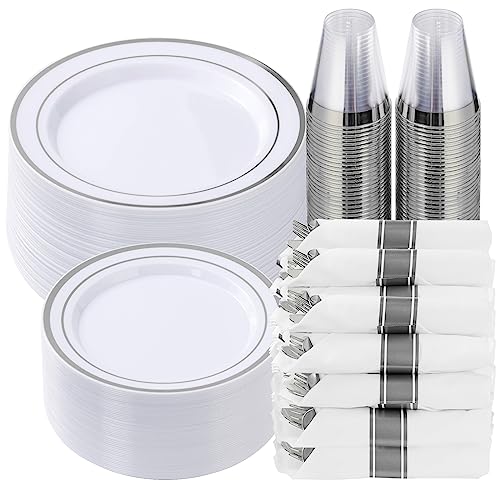 350 Piece Silver Plastic Dinnerware Set for 50