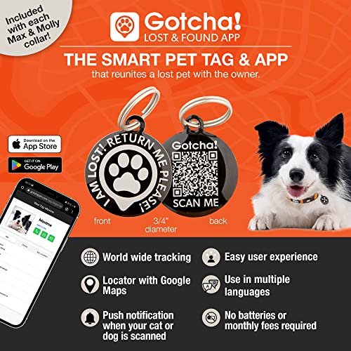 Max & Molly Soft Padded Neoprene Dog Collar w/Smart ID Gotcha! QR Pet Safety Tag, Durable, Waterproof, Anti-Stink, Machine Washable Collar for Dogs, Mosaic, L