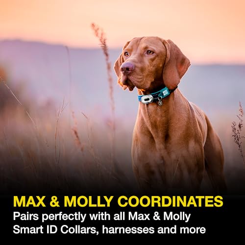 Max & Molly USB Rechargeable LED Safety Pet Light for Dogs - Waterproof - No-Dangle Secure Design, One Size - Ideal for Night Walking, Running & Outdoor Adventures