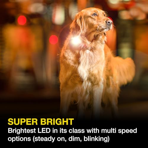Max & Molly USB Rechargeable LED Safety Pet Light for Dogs - Waterproof - No-Dangle Secure Design, One Size - Ideal for Night Walking, Running & Outdoor Adventures