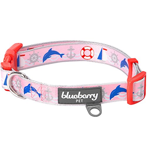 Blueberry Pet Essentials 5 Patterns Smart Chic Bon Voyage Ocean Scenery Dolphin Designer Adjustable Dog Collar, Small, Neck 12"-16"