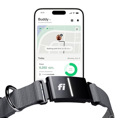 Fi Series 3 Smart Dog Collar - GPS Dog Tracker and Activity & Fitness Monitor, Waterproof, LED Light, Escape Alerts, Nationwide Coverage [Free 1 Year Membership] (Gray, X Small)