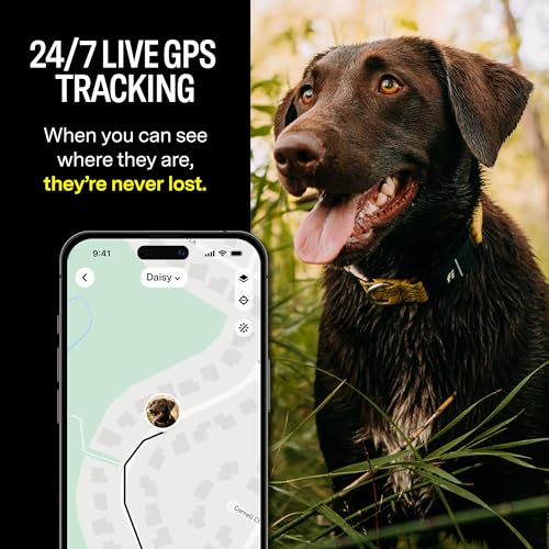 Fi Series 3 Smart Dog Collar - GPS Dog Tracker and Activity & Fitness Monitor, Waterproof, LED Light, Escape Alerts, Nationwide Coverage [Free 1 Year Membership] (Gray, X Small)