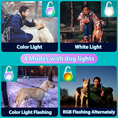 Dog Collar Light-4 Modes Rechargeable Dog Lights for Night Walking, IP68 Waterproof Dog Light Clip On, Small and Light Dog Walking Light Suitable for All Dogs, Dog Safety Light for Night Walking