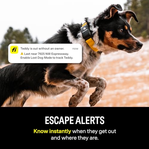 Fi Series 3 Smart Dog Collar - GPS Dog Tracker and Activity & Fitness Monitor, Waterproof, LED Light, Escape Alerts, Nationwide Coverage [Free 1 Year Membership] (Gray, X Small)