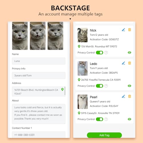 Upgraded Version - Cat Collar Stars and Moon, Solid & Safe, Pet Collar, Breakaway Cat Collar, smart ID tag.Real-time scan alerts | Shareable Pet Profile | No subscription or fees(Black)