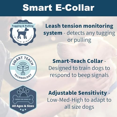 Electronic Training Collars with Nylon Leash for Large Dogs, 1600ft Waterproof Electric Collar with 3 Training Options for Dogs Automatic Stop Pull and Remote Recall-Black