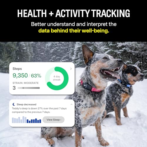 Fi Series 3 Smart Dog Collar - GPS Dog Tracker and Activity & Fitness Monitor, Waterproof, LED Light, Escape Alerts, Nationwide Coverage [Free 1 Year Membership] (Gray, X Small)