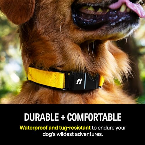 Fi Series 3 Smart Dog Collar - GPS Dog Tracker and Activity & Fitness Monitor, Waterproof, LED Light, Escape Alerts, Nationwide Coverage [Free 1 Year Membership] (Gray, X Small)