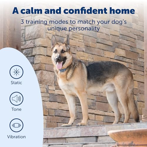 PetSafe SMART DOG Training Collar – Uses Smartphone as Handheld Remote Control – Tone, Vibration, 1-15 Levels of Static Stimulation – Bluetooth Wireless System – All in One Pet Training Solution