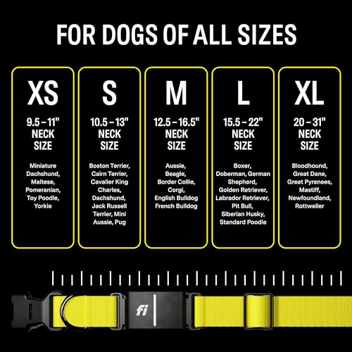 Fi Series 3 Smart Dog Collar - GPS Dog Tracker and Activity & Fitness Monitor, Waterproof, LED Light, Escape Alerts, Nationwide Coverage [Free 1 Year Membership] (Gray, X Small)