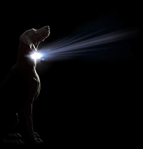 Dog Gone Smart Pet Products Super Bright LED All Day & Night Wear Safety Comet Collar Dogs, Adjustable Breathable Strong Nylon, Puppies, Large, Medium, Small