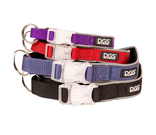 Dog Gone Smart Pet Products Super Bright LED All Day & Night Wear Safety Comet Collar Dogs, Adjustable Breathable Strong Nylon, Puppies, Large, Medium, Small