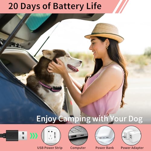 PaiPaitek Dog Shock Collar with Smart Training Leash, 1600ft Waterproof Electric Collar with 3 Training Options for Dogs Automatic Stop Pull and Remote Recall
