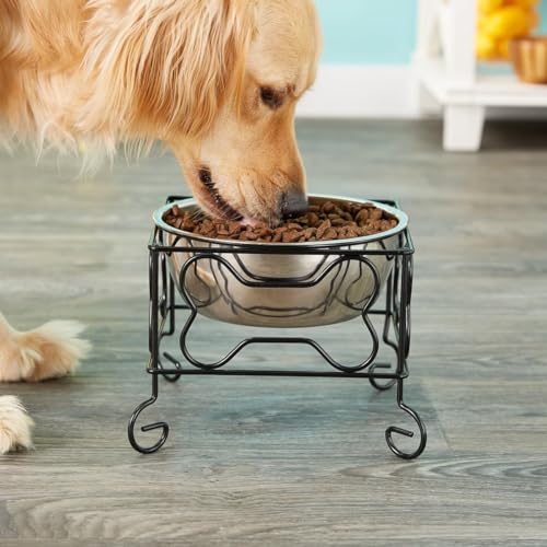 YML Elevated Stainless Steel Dog & Cat Bowl with Black Wrought Iron Stand, 5-Inch (2.5 Cups)