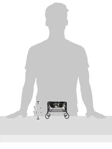 YML Elevated Stainless Steel Dog & Cat Bowl with Black Wrought Iron Stand, 5-Inch (2.5 Cups)