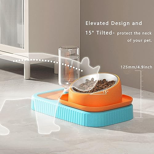 Cdycam Cat Dog Food and Water Bowl Set, Double Food Bowls with Automatic Gravity Water Bottle, Raised Slow Feeder, Detachable Stainless Steel Bowl, 15°Tilt Elevated No Spill Dispenser (Gray+White)