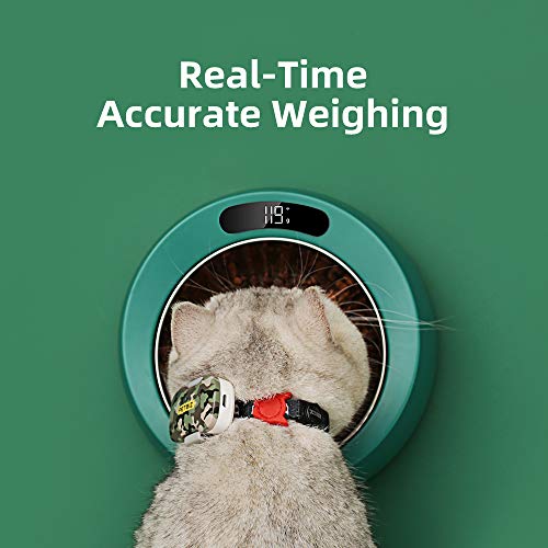 PETBIZ Smart Bowl for Pets, Stainless Pet Bowl with Built-in Digital Scale, Feeding Suggestion (Jet Black)