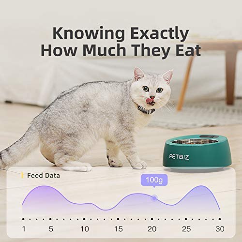 PETBIZ Smart Bowl for Pets, Stainless Pet Bowl with Built-in Digital Scale, Feeding Suggestion (Jet Black)