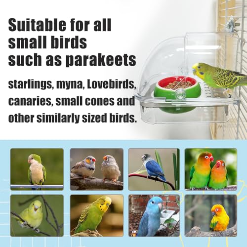 Bird Cage Feeder, No Mess Bird Feeder for Cage, No Spill Bird Feeder for Parakeet Parrot Cockatiels Lovebirds Bird Bath for Cage (Green Ceramic Bowl and Transparent Container)
