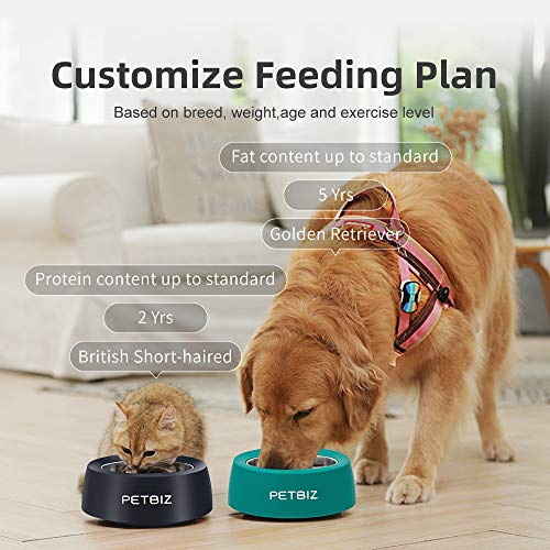 PETBIZ Smart Bowl for Pets, Stainless Pet Bowl with Built-in Digital Scale, Feeding Suggestion (Jet Black)