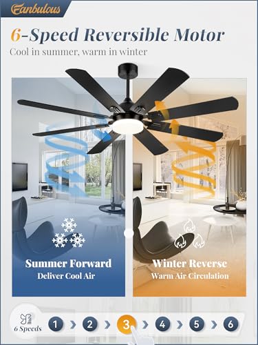 Fanbulous 62 Inch Ceiling Fans with Lights, Black Modern Ceiling Fan with Remote,Large Farmhouse Indoor & Outdoor Ceiling Fan with 8 Dual Finish Blades, Quiet DC Motor, Bright LED Light