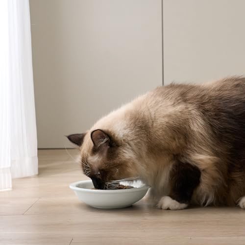 CEEFU Thicker Ceramic Cat Food and Water Bowls 3 PCS, Whisker Stress Free Cat Dishes, Relieves Fatigue, Shallow Pet Food Dish for Cats Puppy, White