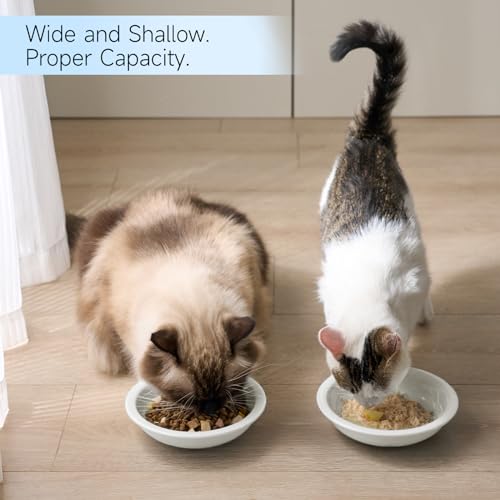CEEFU Thicker Ceramic Cat Food and Water Bowls 3 PCS, Whisker Stress Free Cat Dishes, Relieves Fatigue, Shallow Pet Food Dish for Cats Puppy, White
