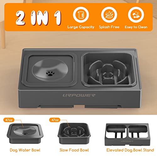 URPOWER 2-in-1 Elevated Slow Feeder Dog Bowls with No Spill Dog Water Bowl 4 Height Adjustable Raised Dog Bowl Non-Slip Dog Food and Water Bowls with Stand for Small Medium Large Dogs, Cats and Pets
