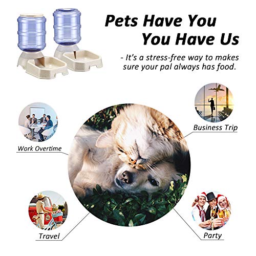 Pet Feeder and Water Food Dispenser Automatic for Dogs Cats, 100% BPA-Free, Gravity Refill, Easily Clean, Self Feeding for Small Large Pets Puppy Kitten Rabbit Bunny (H-Water)