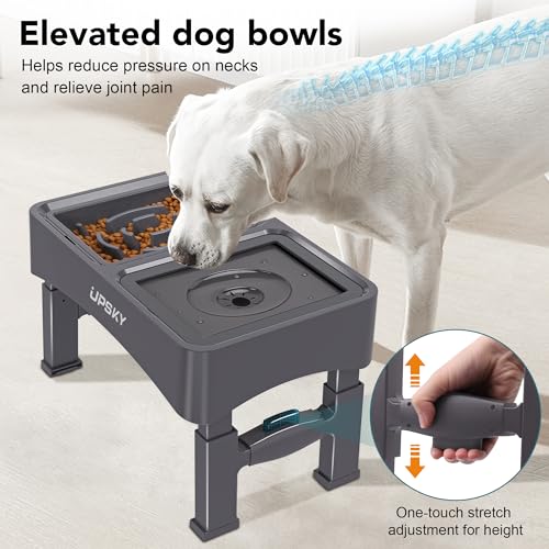 UPSKY 2-in-1 Elevated Dog Bowls Slow Feeder, 4 Height Adjustable Raised Dog Bowl Stand No Spill Dog Water Bowl Dispenser, Anti-Slip Dog Food and Water Bowl for Small Medium Dog