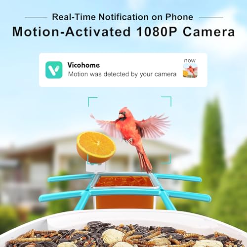 birdsnap® TUC- Smart Bird Feeder with Camera+Solar Panel SD Card 4-in-1 Perch, 160°View 1080P Auto Detect & Notify, AI Identify 10000+ Bird Watching Camera Wireless Outdoor for Bird Lover, Blue