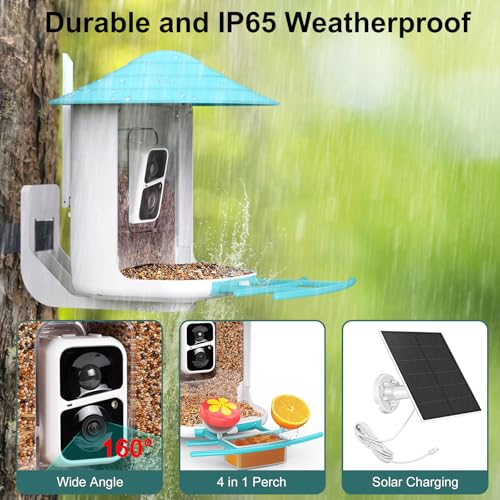 birdsnap® TUC- Smart Bird Feeder with Camera+Solar Panel SD Card 4-in-1 Perch, 160°View 1080P Auto Detect & Notify, AI Identify 10000+ Bird Watching Camera Wireless Outdoor for Bird Lover, Blue