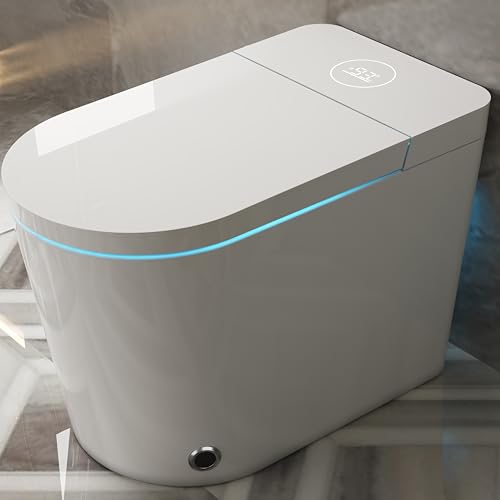 ARRISEA Smart Bidet Toilet, Auto Flush Smart Toilet with Warm Water Washing, Heated Bidet Seat, Adjustable Dryer, Toilet with Bidet and LED Display