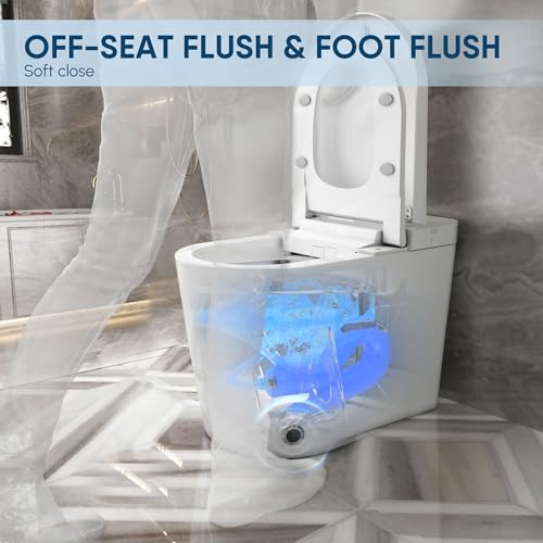 ARRISEA Smart Bidet Toilet, Auto Flush Smart Toilet with Warm Water Washing, Heated Bidet Seat, Adjustable Dryer, Toilet with Bidet and LED Display