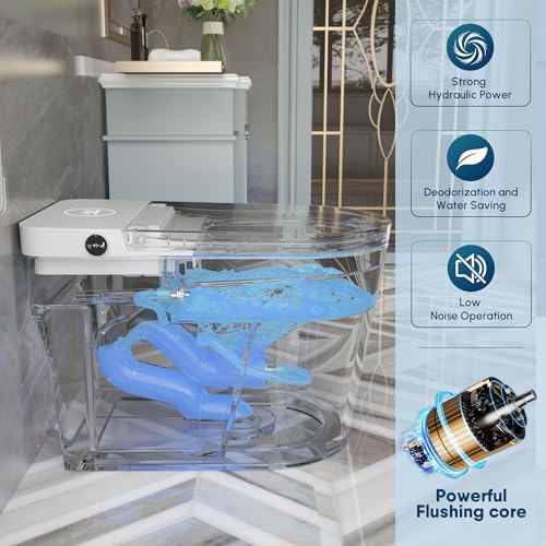 ARRISEA Smart Bidet Toilet, Auto Flush Smart Toilet with Warm Water Washing, Heated Bidet Seat, Adjustable Dryer, Toilet with Bidet and LED Display