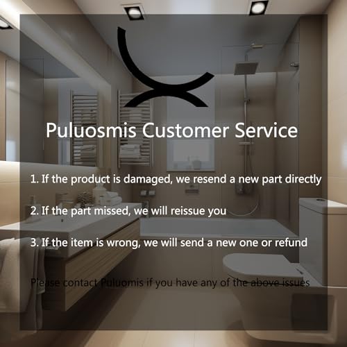 Puluomis Smart Bidet Toilet Seat with Fully Automatic Adjustment, Stainless Steel Nozzle, Heated Seat, Adjustable Warm Water and Air Dryer, Night Lighting, Power Saving, Wireless Control, Elongated